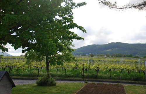 Gartenhaus am Weinberg - Foto 41