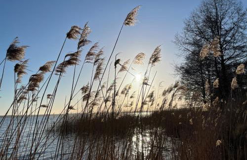 Haus 2 am Grimnitzsee - hochwertiges Design, mit eigenem Garten und nah am See - Foto 29