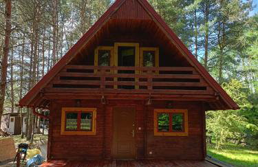 Dom Sosnowy - Foto 1