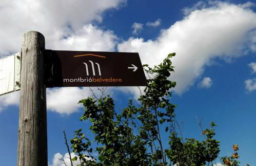 Mas Montbrio Belvedere - Foto 42