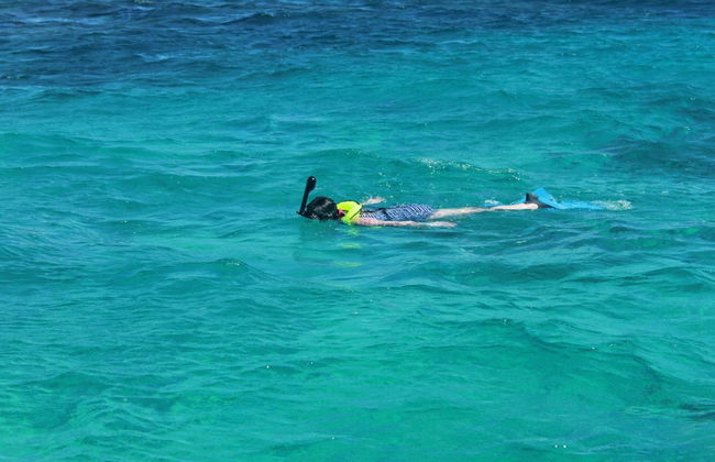 South Coast Horizons - Photo 65