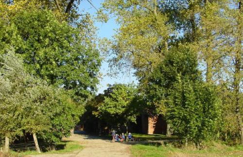 Bettmann regional Einkaufen & Bauernhofurlaub - Foto 29