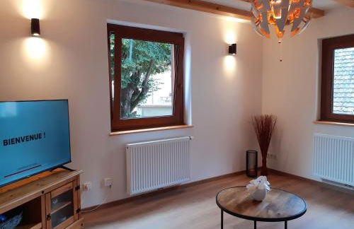 Coup de cœur en Alsace ! Idéal visites, randonnées au Gîte de la Muse, proche Colmar - Foto 7