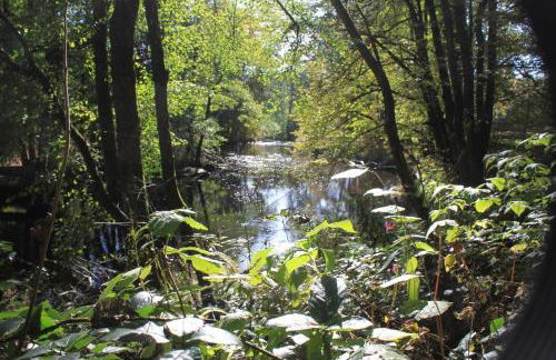 Ferienhof Aiginger - Foto 13