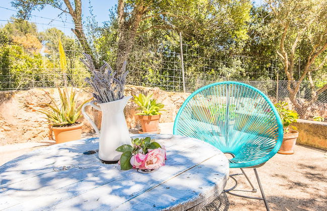 Villa Son Fornes - Foto 75