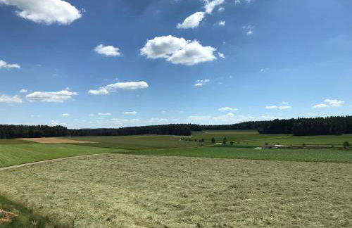 Ferienwohnungen Familie Mapenzi - Foto 9