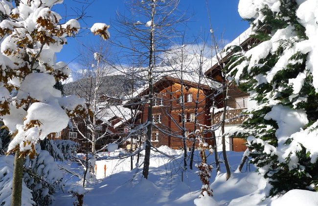 Crestatgiet - Foto 27