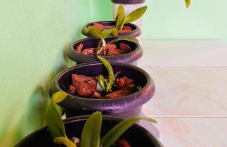 Casa Privativa com Varanda Gourmet e Churrasqueira- Pet Friendly- Wi-Fi e Garagem - Photo 34