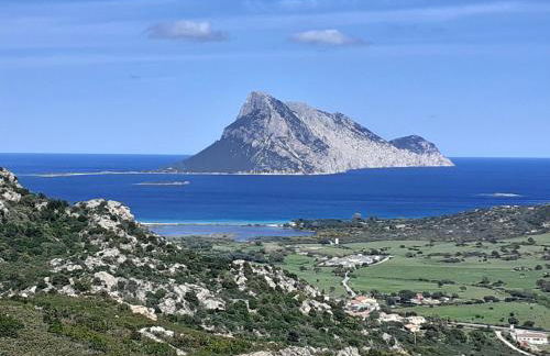 Il Glicine - Foto 27