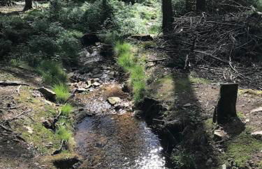Ferienhaus mit Sauna, Wintergarten und Terrasse im schönen Hochtaunus - Foto 75