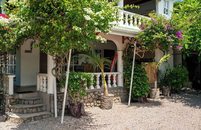 Beau Bamboo - Foto 76