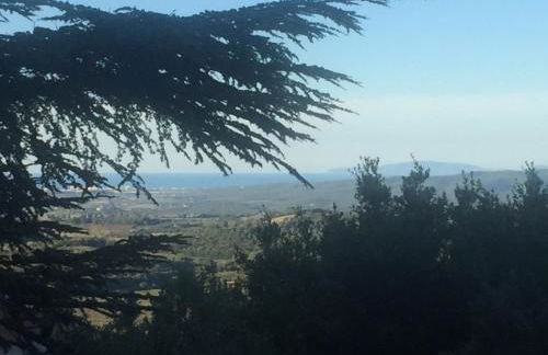 Villa degli Ulivi - Foto 61