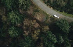 Casinha Ponte Nova - Foto 47