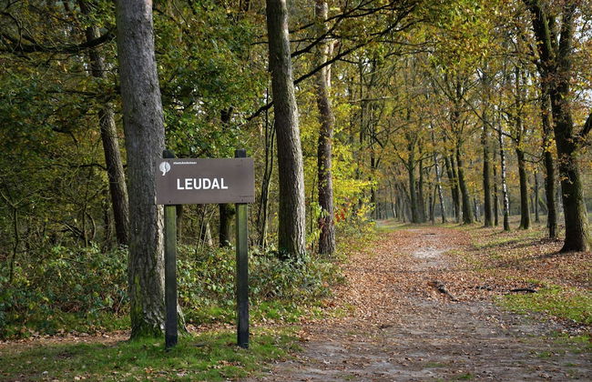 Relaxing Nature Escape - Photo 45