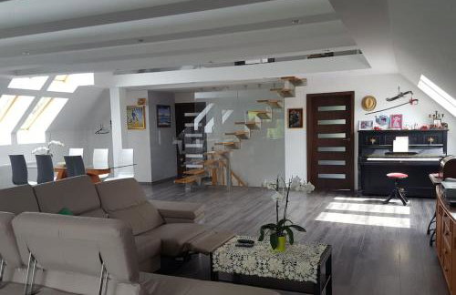 Apartamenty Holiday Slaw jacuzzi bilard - Foto 42