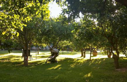 Le Jardin de Temeni - Foto 28