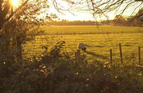 NEU Apartment in Friedrichskoog 130 qm Grosser Garten - Foto 31
