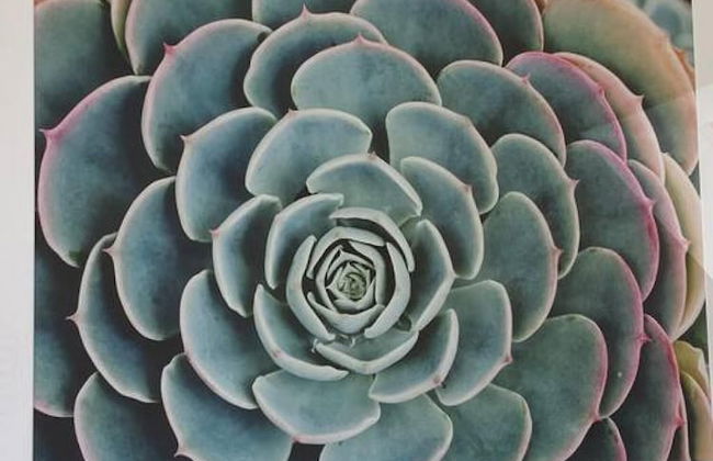 Idyllic Country House With Panoramic View - Foto 15