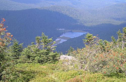 Ferienwohnung Sonja - Foto 16