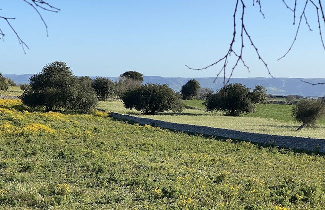 Agriturismo Il Melograno - Foto 78