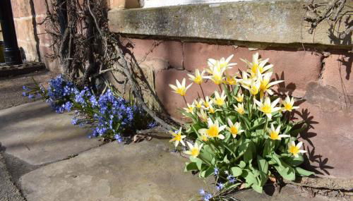 3 St Gilbert Street - Photo 4