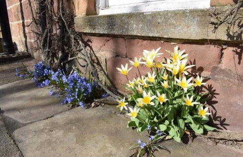 3 St Gilbert Street - Photo 4