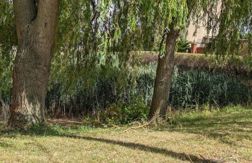 Haus in der Nähe vom See - Photo 16