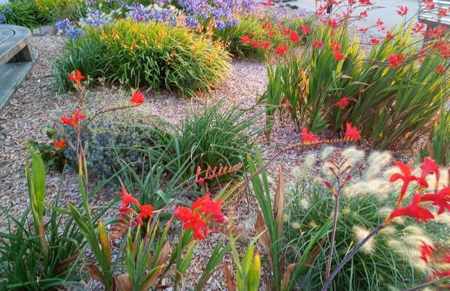 Westward HO Horizon View 30 2 Bedrooms - Foto 21