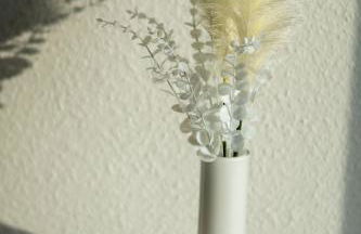 JS-Business - Foto 11