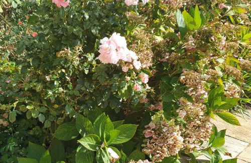 The Nest at Bramble Cottage Lacock - Photo 25