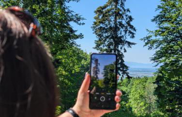 Park-Appartements - Foto 31