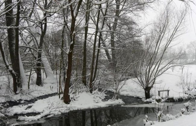 Ferienwohnung mit Sauna - Foto 31