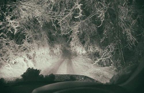 The Organic Cotswolds Cowshed - Photo 66