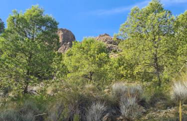 Casa Tropical, serene poolside retreat in nature - Foto 23