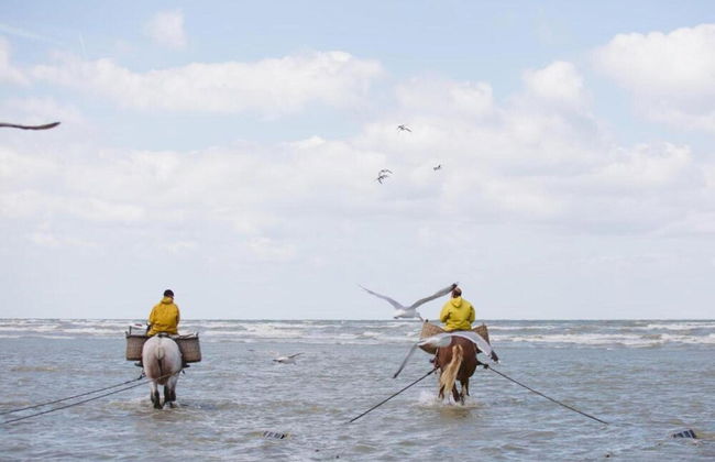 Apartment in Koksijde Near Sandy Beaches - Photo 14