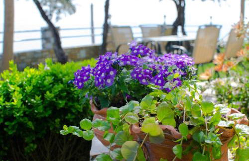 Guesthouse Enastron - Foto 14