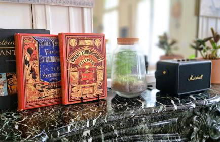 Appartement tout confort, jardin, dans un Manoir au Sud de Tours - Foto 11