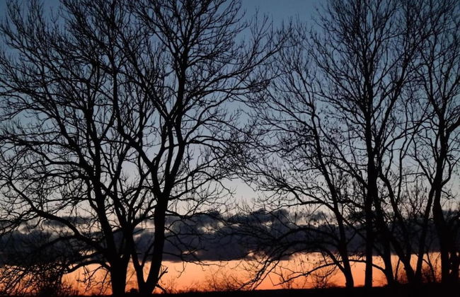 Geraeumige Ferienwohnung in Boddin mit Garten - Foto 32