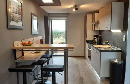 Logement 80 m2 avec terrasses entre les deux abers - Foto 3