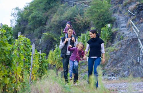 Claes Weinquartier - Appartements & Wein by Niko Schmitt - Foto 15