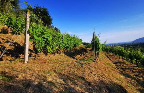 Agriturismo La Carreccia - Foto 25