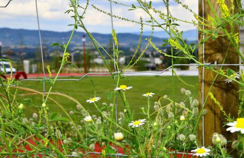 Art'Estrela - Photo 25