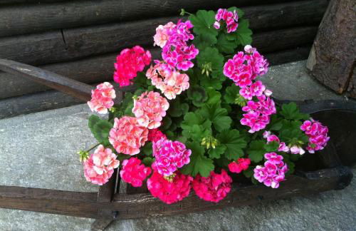 Residence Lo Peyo - Foto 25