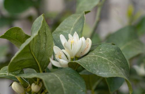 Agriturismo Pozzo Fiorito - Foto 37