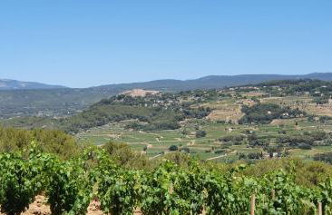 Le Mas des Vignes - Foto 13