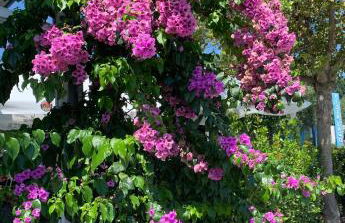 Casa Eva con piscina privata - Foto 17