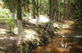 Chácara Ana Clara - Casa de Temporada - Foto 8