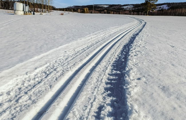 2 bedroom House in Kuopio with sauna - Photo 22