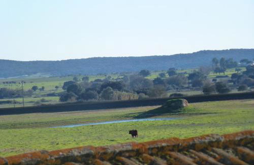 Monte das Oliveiras - Foto 28