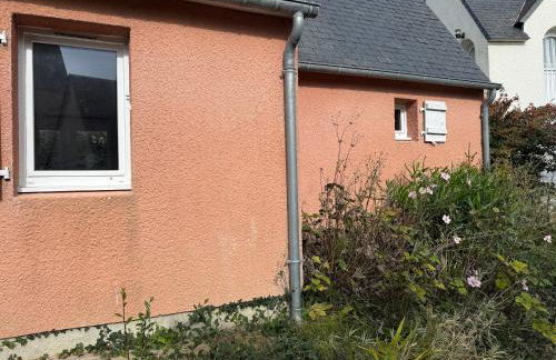 Les Sternes - Foto 6